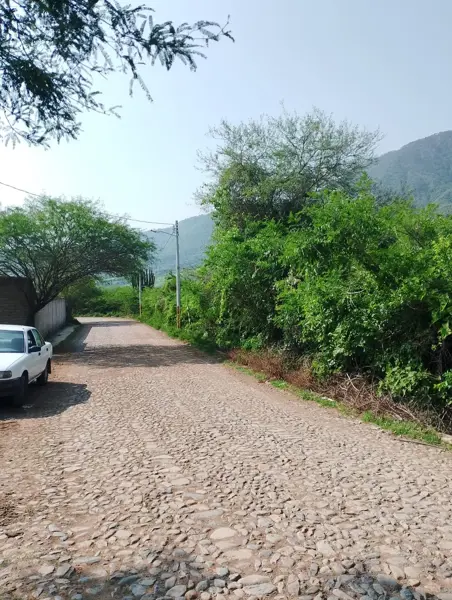 Terreno en venta en Chiquihuitlán, Autlán de Navarro — foto 2 de 8