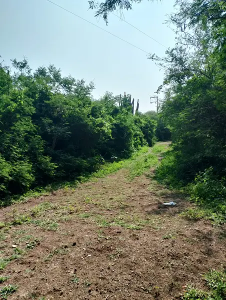 Terreno en venta en Chiquihuitlán, Autlán de Navarro — foto 3 de 8