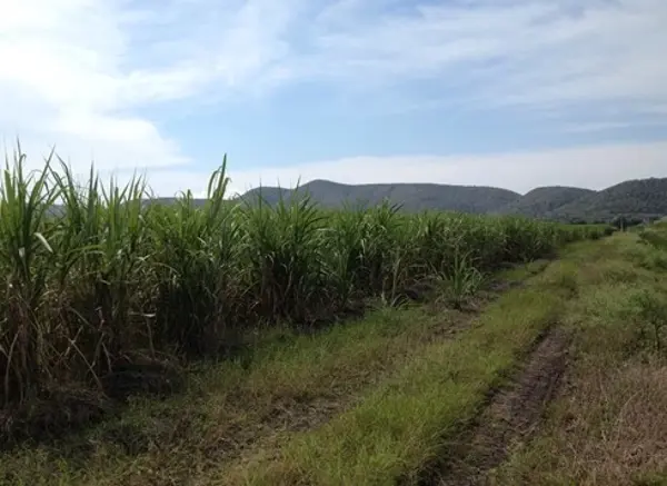 Terreno en venta en El Chante, Autlán de Navarro — foto 3 de 4