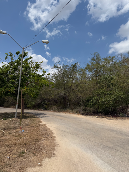 Terreno en venta en Santa Gertrudis Copo, Mérida — foto 2 de 11