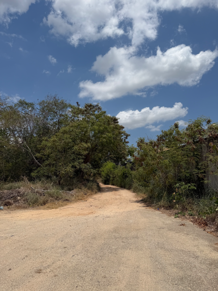 Terreno en venta en Santa Gertrudis Copo, Mérida — foto 3 de 11