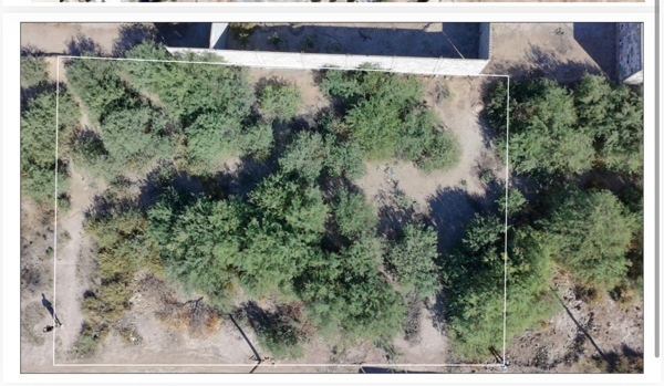Terreno en venta en Transporte, Gómez Palacio — foto 2 de 6