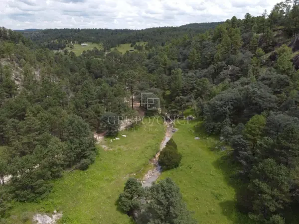 Terreno en venta en Llano Grande de Milpillas Chico, Pueblo Nuevo — foto 3 de 12