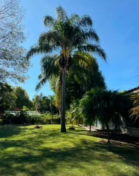 Casa en venta en Club de Golf el Cristo, Atlixco — foto 3 de 14
