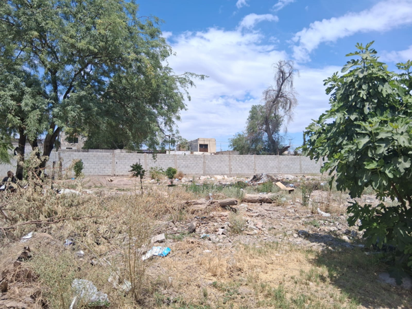 Terreno en venta en La Concha, Torreón — foto 3 de 7