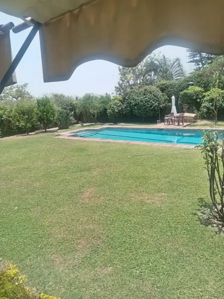 Departamento en venta en Miraval, Cuernavaca — foto 3 de 38
