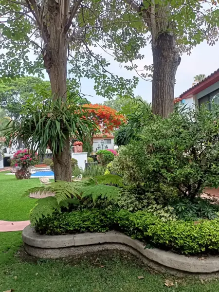 Casa en renta en Chapultepec, Cuernavaca — foto 3 de 26