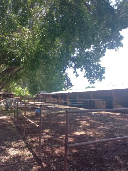 Finca-Rancho en venta en Xochitepec Centro, Xochitepec — foto 2 de 51