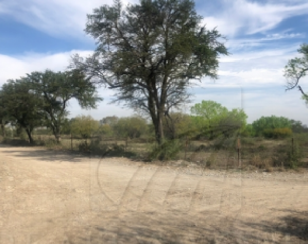 Terreno en renta en Centro de Pesquería, Pesquería — foto 2 de 3