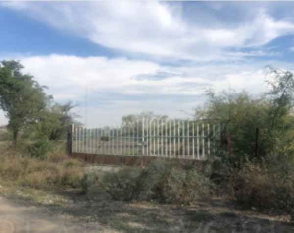 Terreno en renta en Centro de Pesquería, Pesquería — foto 3 de 3