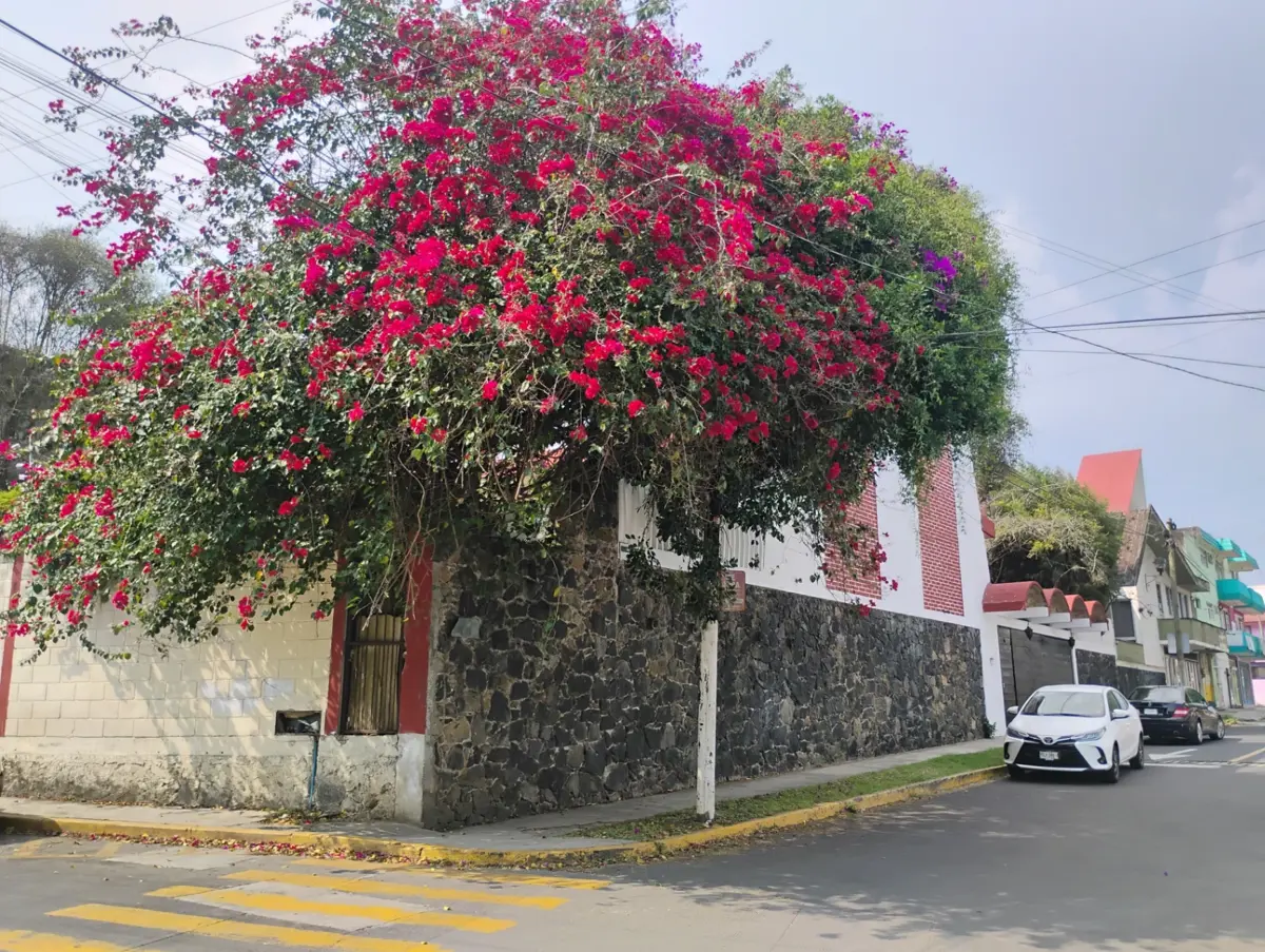 Casa en venta en Tamborrel, Xalapa — foto 1 de 45