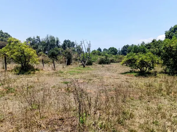 Terreno en venta en Mesa de Jaimes, Valle de Bravo — foto 3 de 9