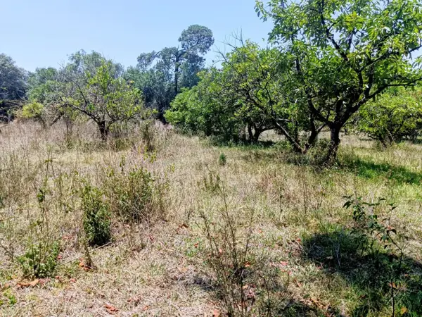 Terreno en venta en Mesa de Jaimes, Valle de Bravo — foto 2 de 9