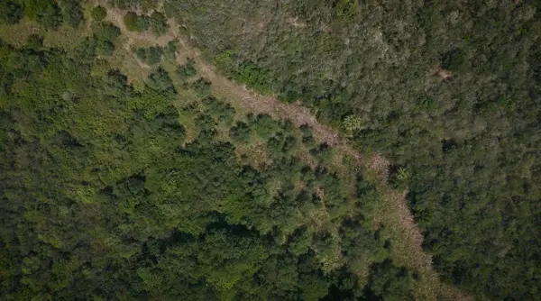 Terreno en venta en El Castillo, Cadereyta Jiménez — foto 3 de 11