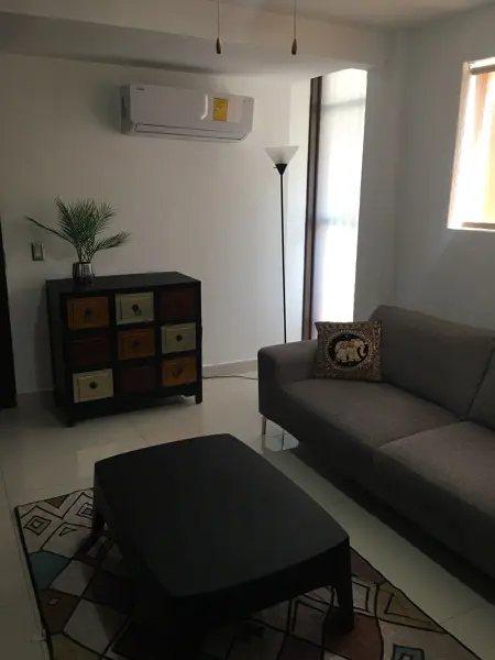 Departamento en renta en Del Valle Sector Fátima, San Pedro Garza García — foto 3 de 14