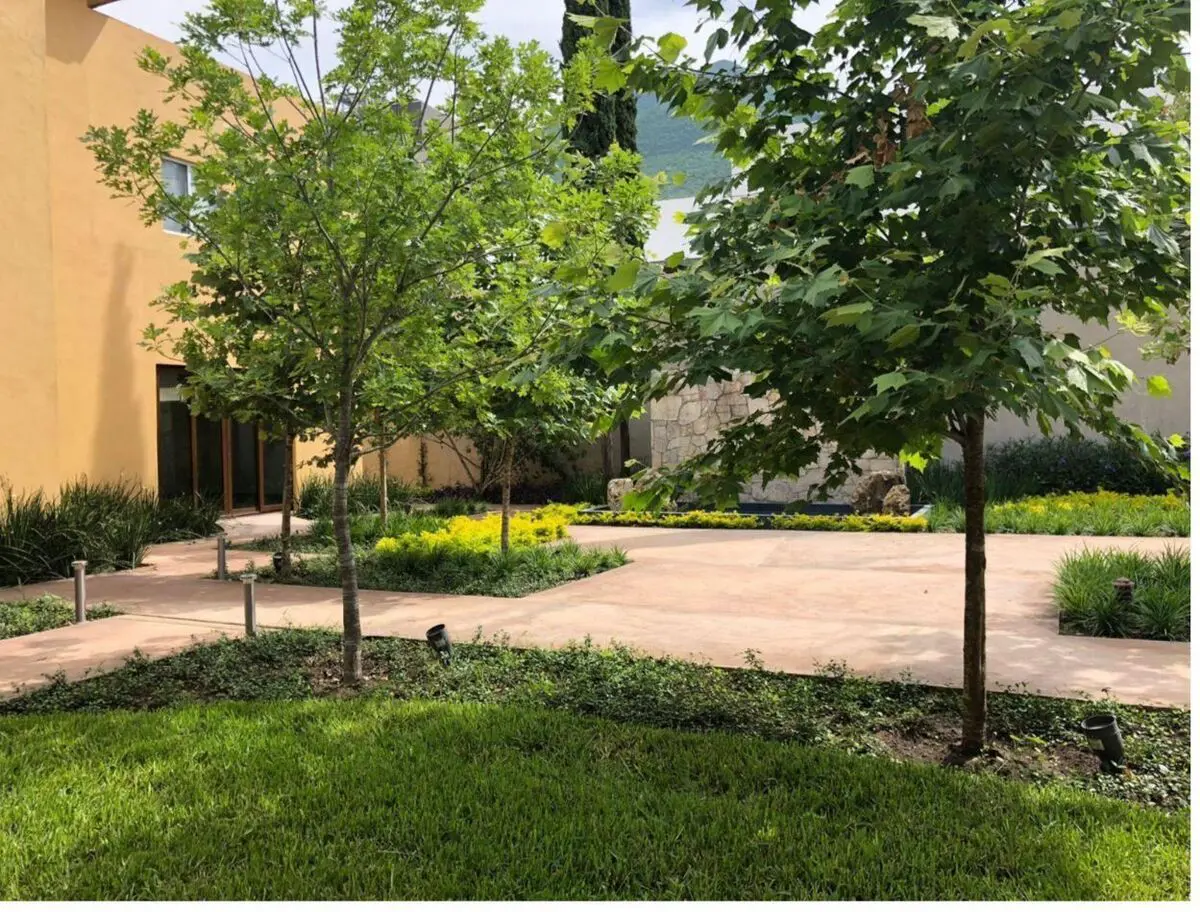 Casa en venta en Sin Nombre de Colonia 51, Monterrey — foto 1 de 10
