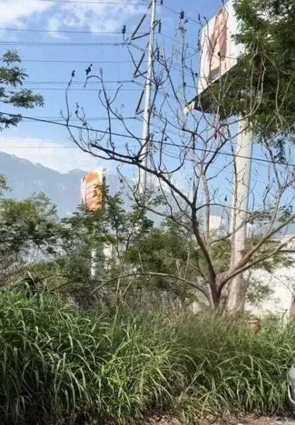 Terreno en venta en Residencial Santa Bárbara, San Pedro Garza García — foto 3 de 10