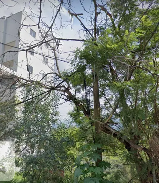 Terreno en venta en Residencial Santa Bárbara, San Pedro Garza García — foto 2 de 10