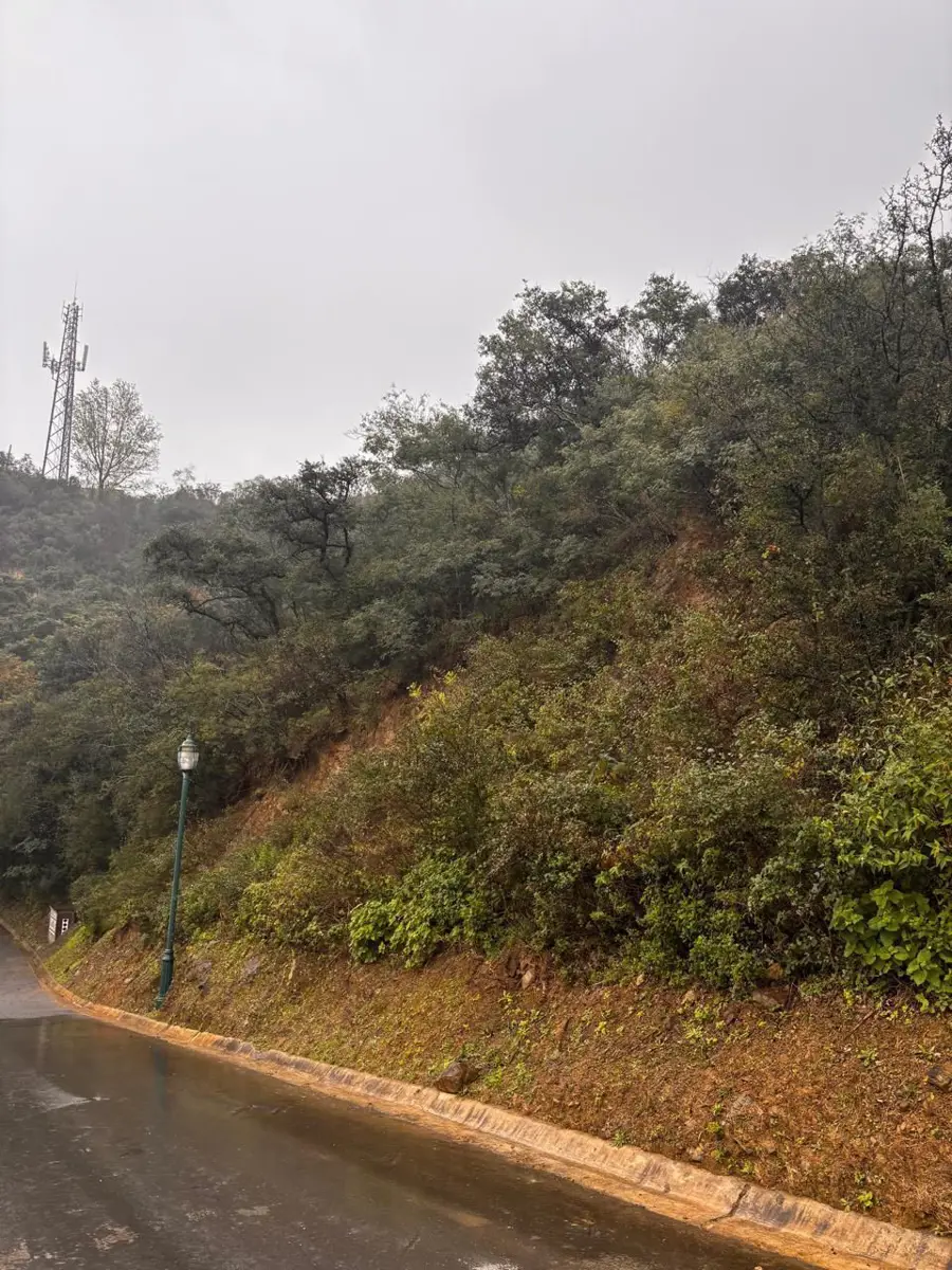 Terreno en venta en Renacimiento, Monterrey — foto 1 de 11