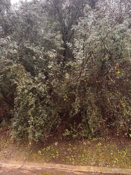 Terreno en venta en Renacimiento, Monterrey — foto 3 de 11