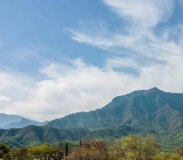 Terreno en venta en Las Raíces, Allende — foto 3 de 16