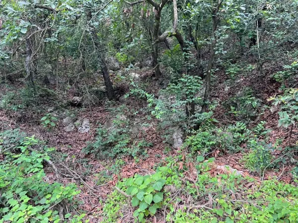 Terreno en venta en Bosques de San Ángel Sector Palmillas, San Pedro Garza García — foto 2 de 7