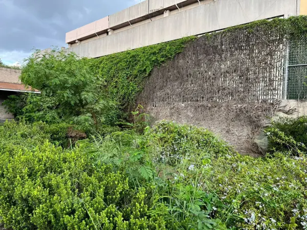 Terreno en venta en Zona de Los Callejones, San Pedro Garza García — foto 3 de 6