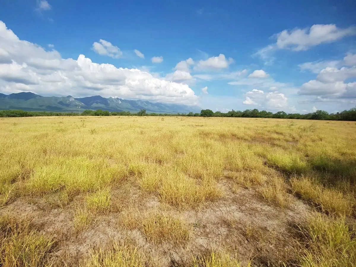 Terreno en venta en Salinas Victoria, Salinas Victoria — foto 1 de 6