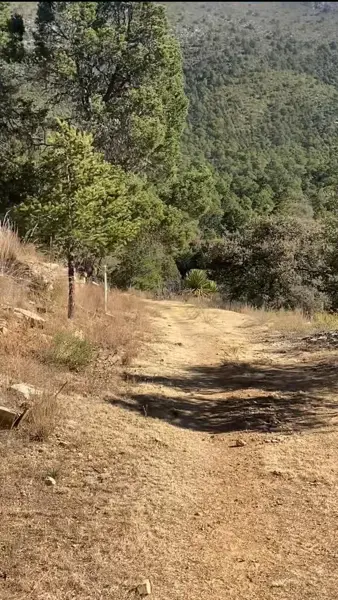 Terreno en venta en El Tunal, Arteaga — foto 3 de 9