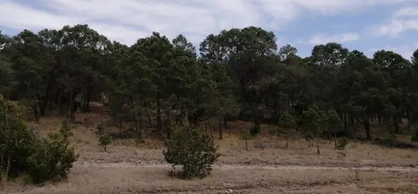 TERRENO EN VENTA EN LA SIERRA DE ARTEAGA