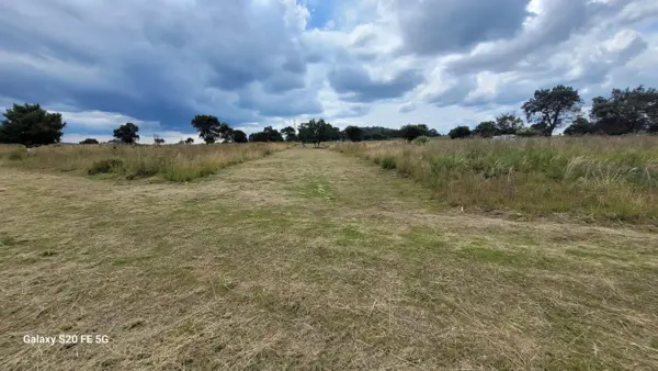 Terreno en venta en Jesús Huitznáhuac, Santa Cruz Tlaxcala — foto 3 de 6