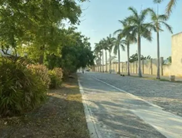 Terreno en venta en Playa Palmas, Carmen — foto 3 de 3