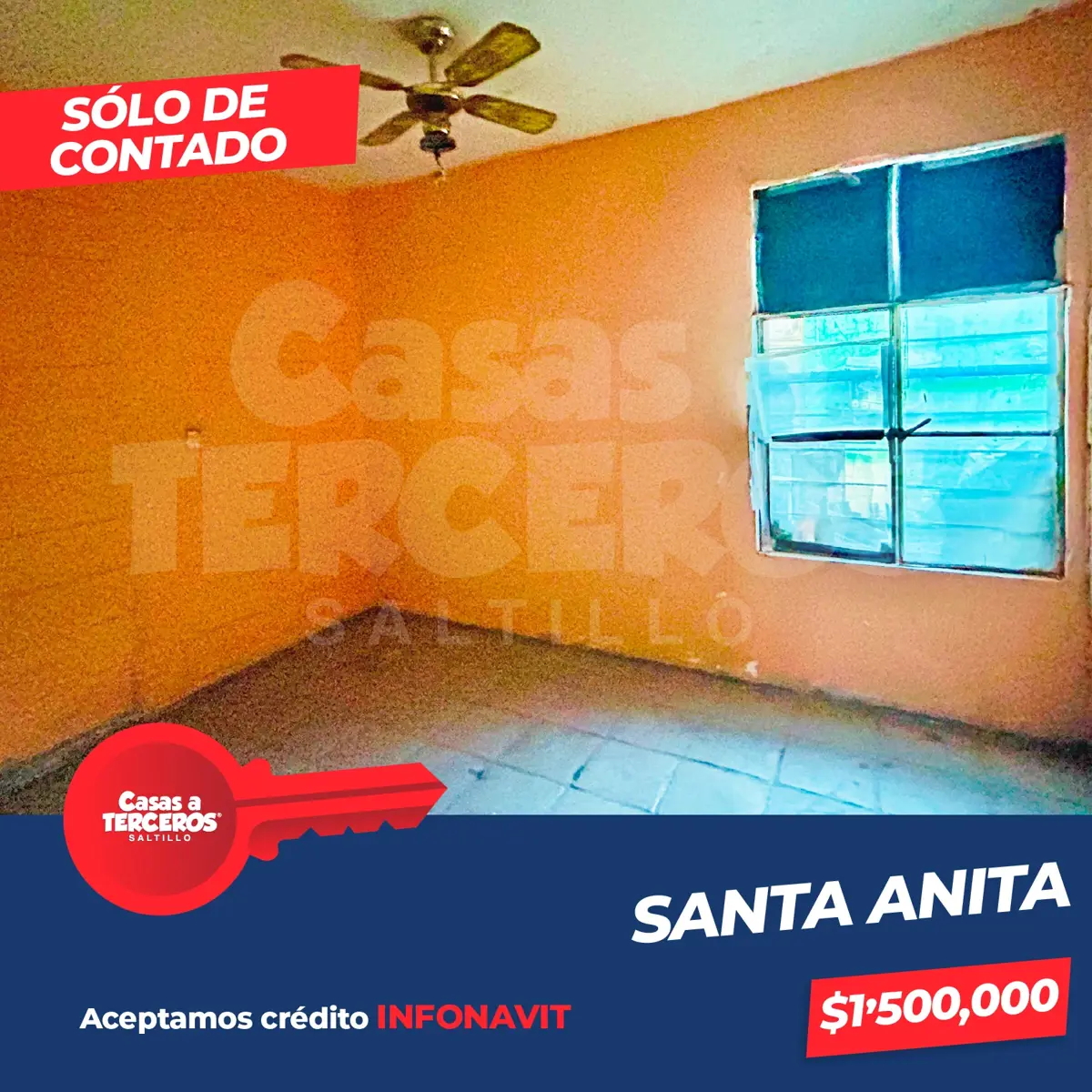 Imagen 5