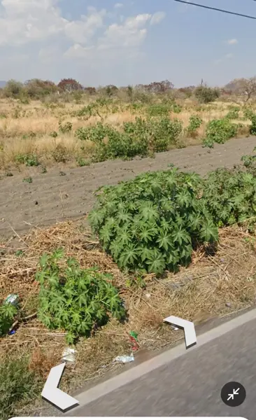 Terreno en venta en Axocopan, Atlixco — foto 3 de 4