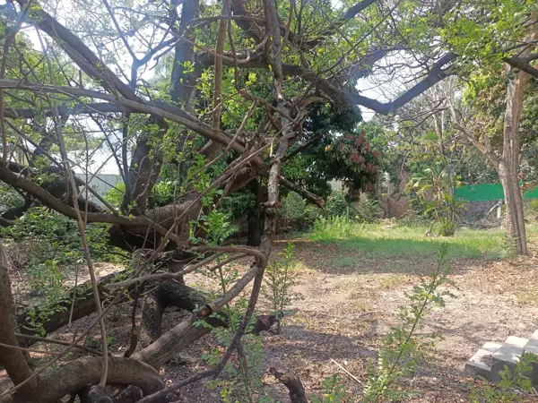 Terreno en venta en La Pradera, Cuernavaca — foto 3 de 26