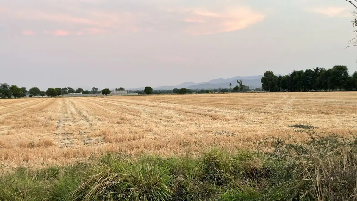 Terreno en venta en La Palma, Pedro Escobedo — foto 1 de 8