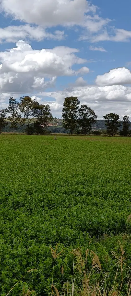 Terreno en venta en Purisima de San Rafael, Corregidora — foto 1 de 9