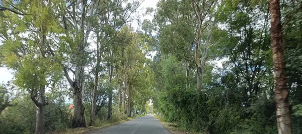 Terreno en venta en Purisima de San Rafael, Corregidora — foto 3 de 9