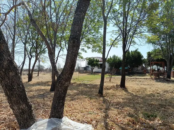 Terreno en venta en La Purisima de la Cueva, Corregidora — foto 3 de 22