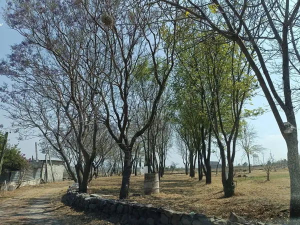 Terreno en venta en La Purisima de la Cueva, Corregidora — foto 2 de 22