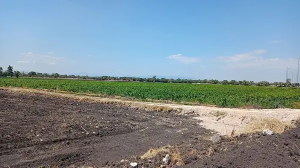 Terreno en venta en La Norita, Apaseo El Grande — foto 3 de 10