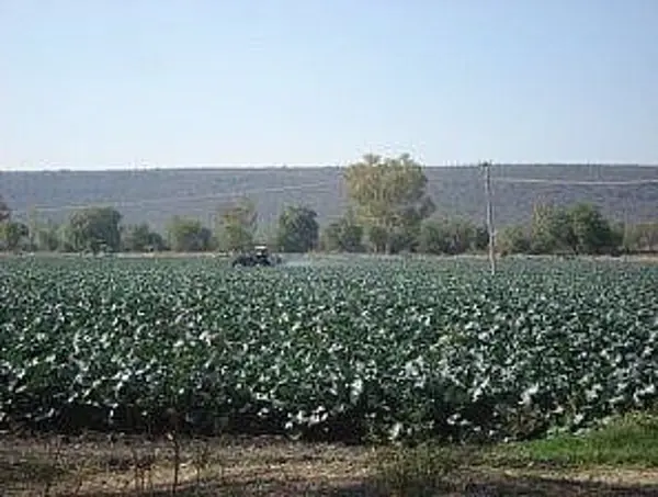 Terreno en venta en Amazcala, El Marqués — foto 3 de 5