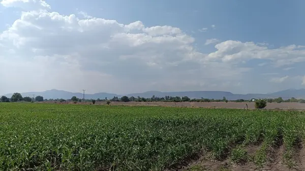 Terreno en venta en Amazcala, El Marqués — foto 3 de 11