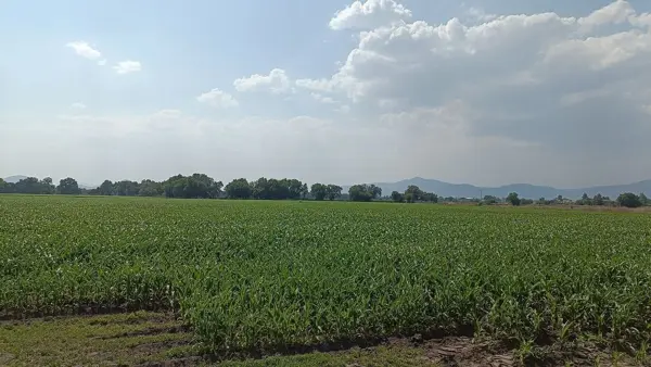 Terreno en venta en Amazcala, El Marqués — foto 2 de 11