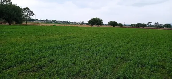 Terreno en venta en Loma de la Griega, El Marqués — foto 2 de 6