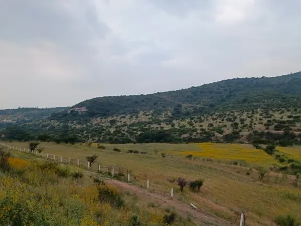 Terreno en venta en San Juan Otlaxpa, Tepeji del Río de Ocampo — foto 2 de 6