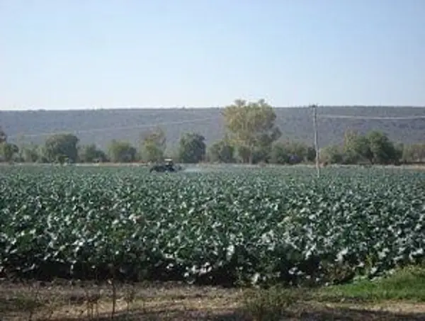 Finca-Rancho en venta en Amazcala, El Marqués — foto 3 de 5