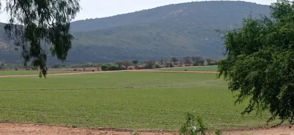 Finca-Rancho en venta en La Laja, Tequisquiapan — foto 2 de 19