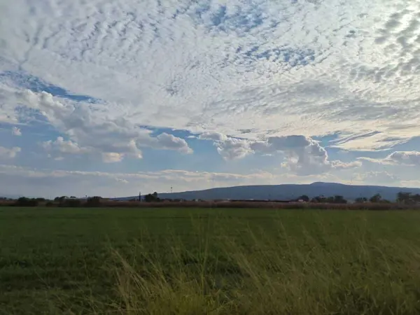 Terreno en venta en Santa Maria del Refugio, Celaya — foto 3 de 13