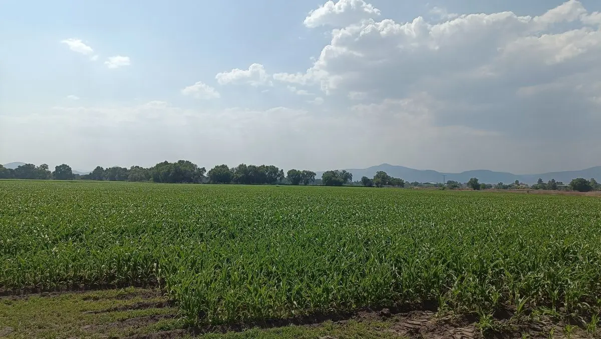 Terreno en venta en Amazcala, El Marqués — foto 1 de 11